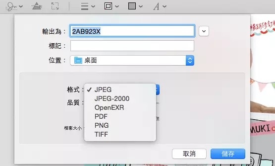 Mac OS浏览功能