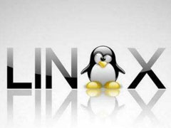 Linux是什么？它是哪个国家开发的