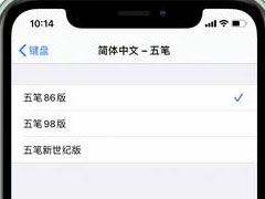 活久见，iOS 14竟然植入了五笔输入法