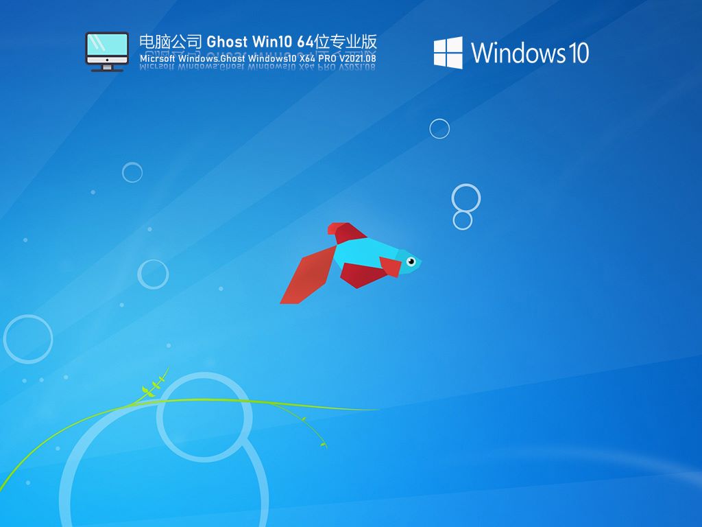 电脑公司Windows10 64位稳定专业版 V2021.08