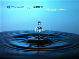 深度技术 GHOST Win10 64位专业版 V2021.02