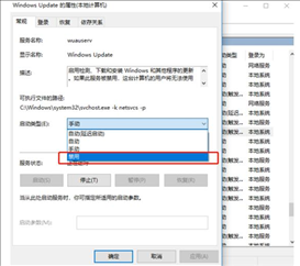 永久停止Win10更新的方法