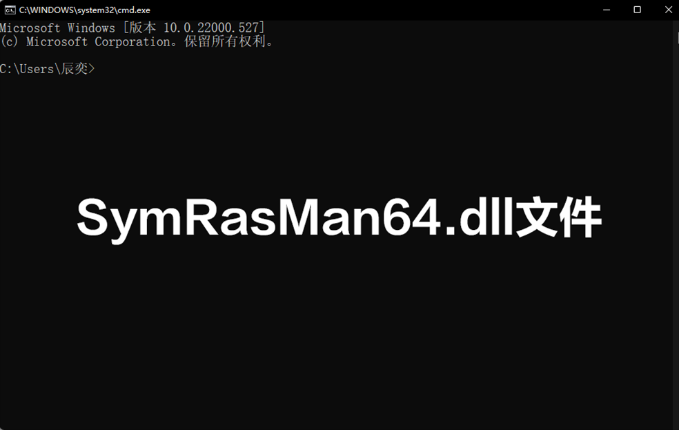 SymRasMan64.dll文件