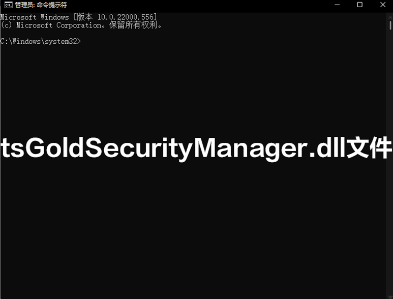 tsGoldSecurityManager.dll文件