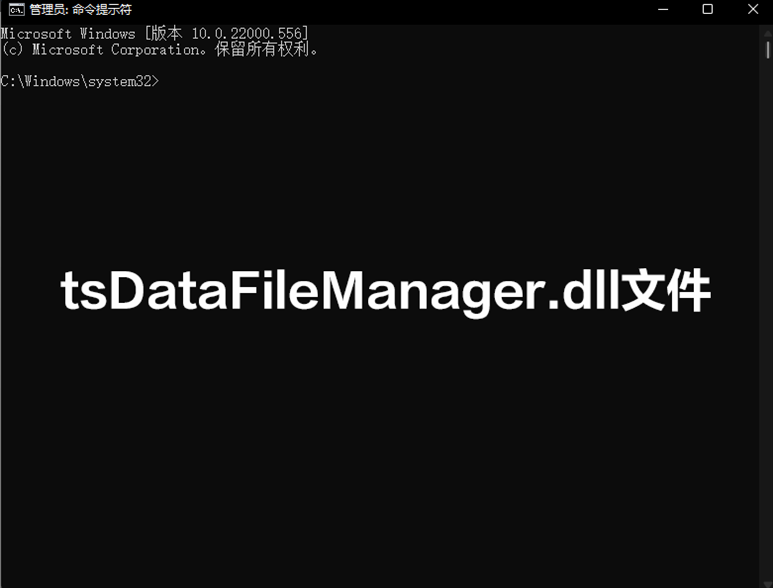 tsDataFileManager.dll文件