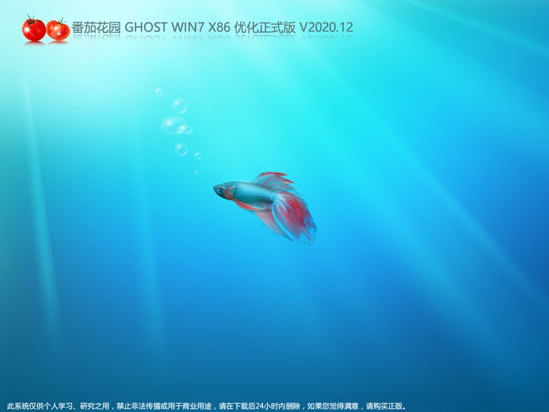 番茄花园 GHOST WIN7 X86 优化正式版 V2020.12