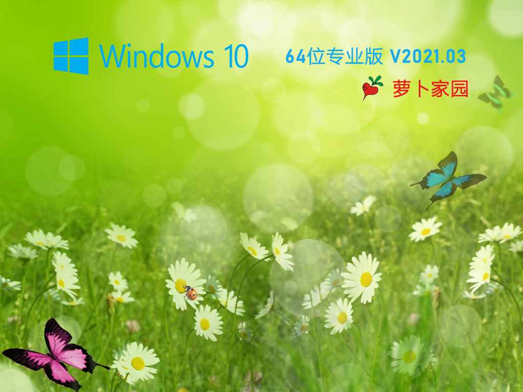 萝卜家园 Ghost Win10 64位 纯净专业版 V2021.03