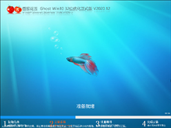 番茄花园 GHOST WIN10 32位 优化正式版 V2020.12