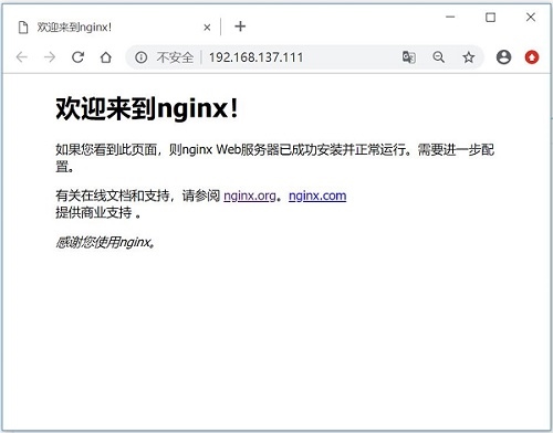 nginx windows