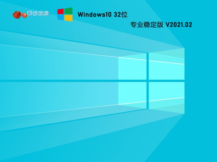 番茄花园 GHOST WIN10 32位专业稳定版 V2021.02