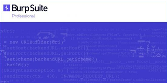 BurpSuite Professional