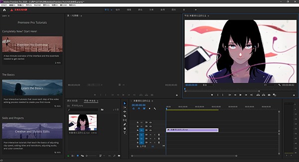 Adobe Premiere Pro