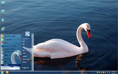 碧水天鹅win7系统主题