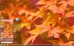 枫叶win7精美主题