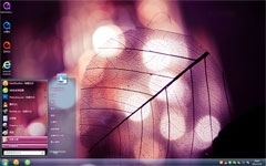 树叶win7电脑主题