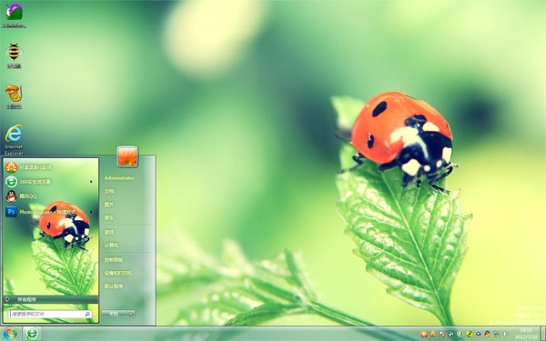 可爱瓢虫win7主题