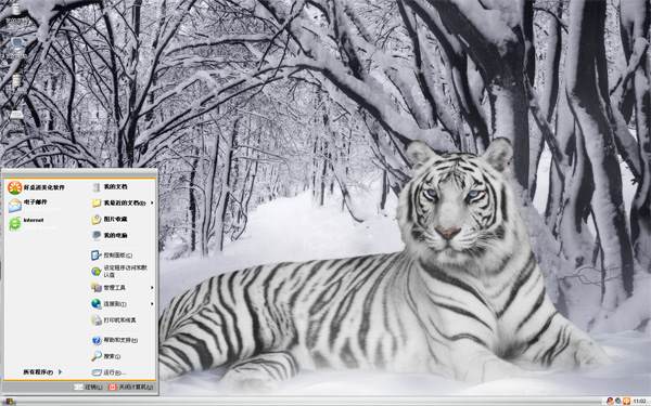 雪白东北虎xp主题壁纸