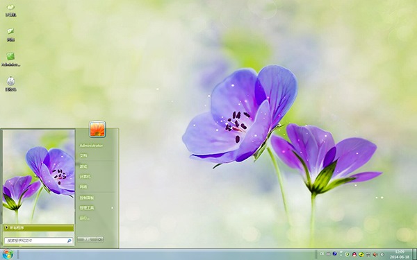 沐浴阳光的花朵Win7主题