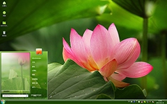 高雅圣洁之红莲Win7主题