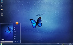 雨天蝴蝶的想念Win7主题