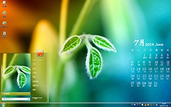 嫩绿树叶七月日历Win7主题