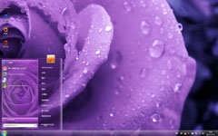 冷艳紫玫瑰win7精美主题