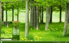 清新小树林win7桌面主题