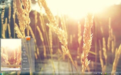 片片稻花飘香win7主题