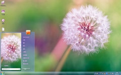 唯美蒲公英win7电脑主题