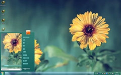 向阳之花win7电脑主题