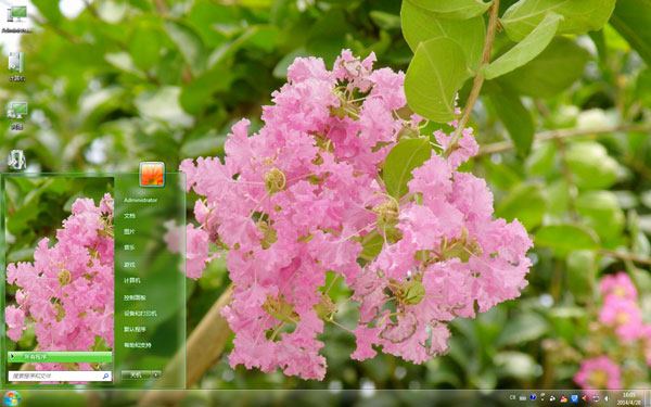 紫薇花百日红win7主题