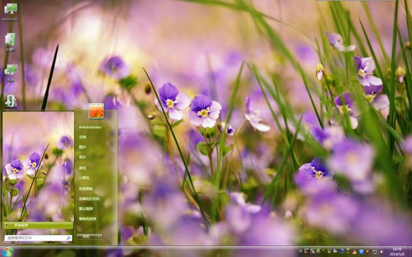 紫色清新小野花win7主题