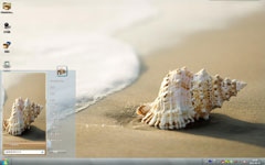沙滩落寞小海螺Win7主题