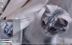 呆呆小萌猫Win7主题