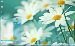 纯白清新雏菊Win7主题
