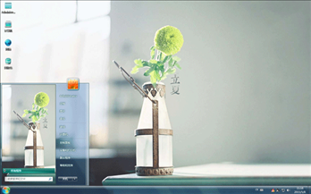 古瓶球花Win7主题