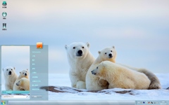 蠢萌的三只小熊Win7主题