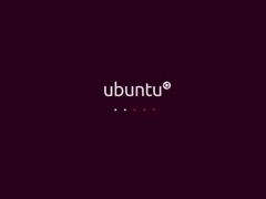 Ubuntu 10.04 X64标准版（64位）