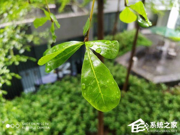 小米CC9e手机好用吗？小米CC9e全面评测