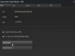 Win10玩CSGO游戏帧数不稳定怎么解决