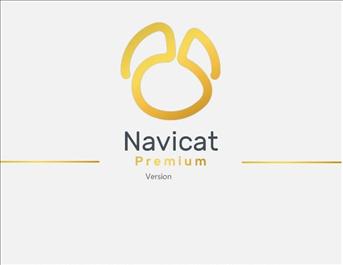 Navicat Premium16