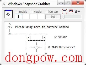 Windows Snapshot Grabber