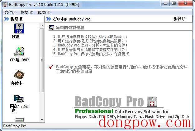 BadCopy Pro