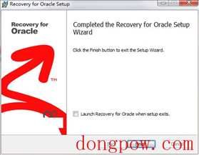 Recovery for Oracle