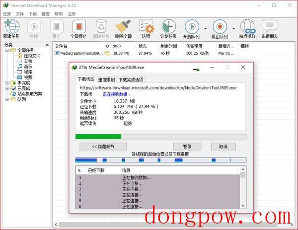 Internet Download Manager