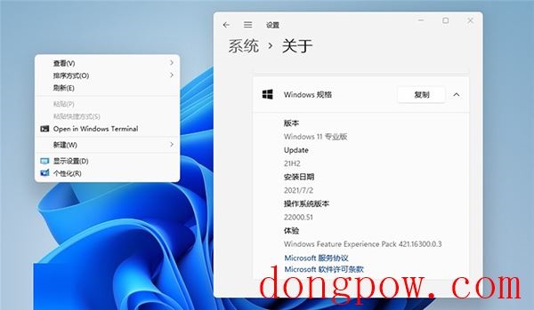 Windows11注册表