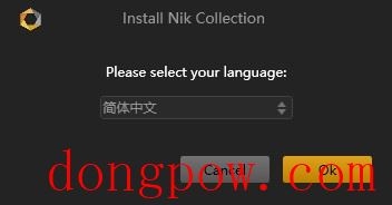 Nik Collection2021破解文件