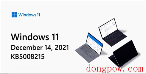 Win11 21H2 22000.376补丁