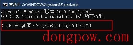 UsageRules.dll文件