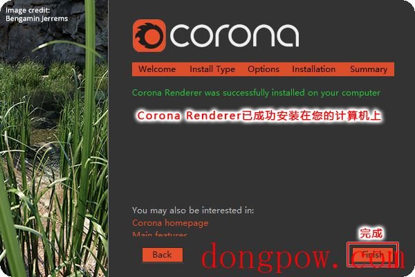 Corona Renderer